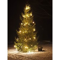 Julgranen med julbock